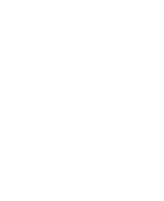 Limitless Power logo